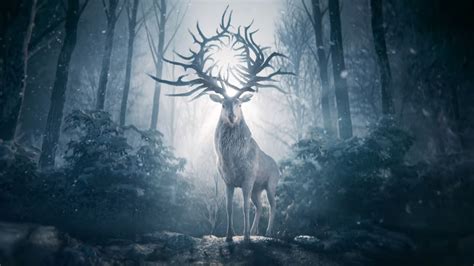 New on netflix india this april 2021. Shadow and Bone, la nuova serie originale Netflix si ...