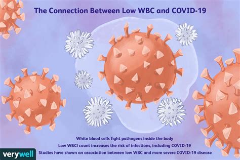 The Connection Between Low White Blood Cells And Covid