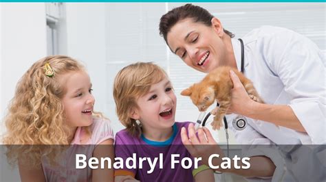 A milligram per pound is an acceptable dosage. Benadryl For Cats Dosage | How Much Can You Give Them For ...
