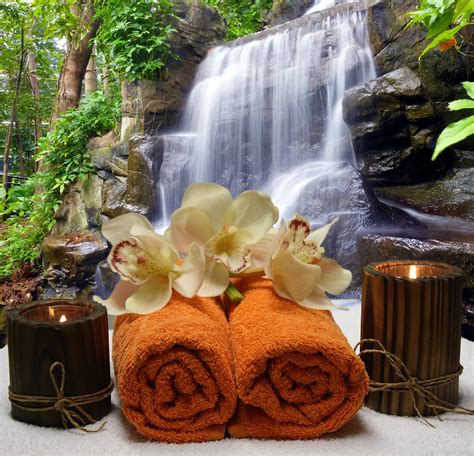 Free Images Flower Relax Autumn Rest Relaxation Meditation Spa