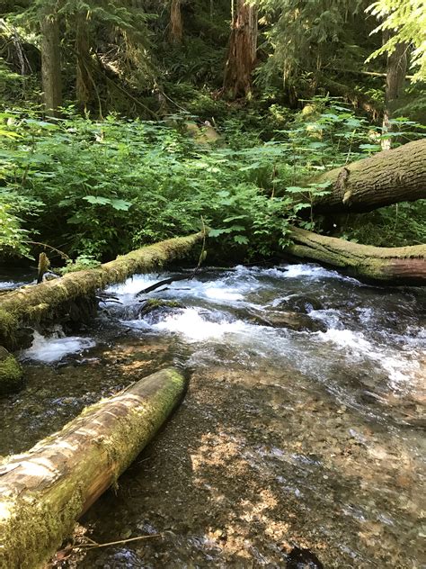 Glacier Lake Trail Hiking Tips Discoveries Love Laughter And Life