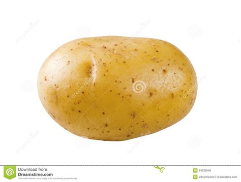 Potato Stock Photo Image Of Food Tuber Isolated Fresh 14632046