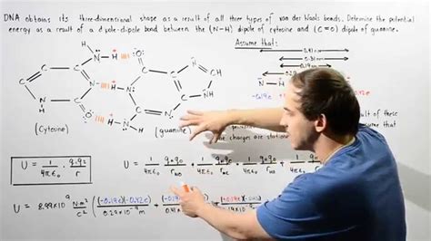 Find out information about van der waals bond. van der Waals Forces in DNA Molecules - YouTube
