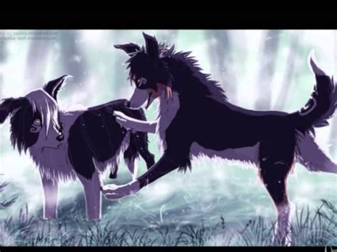 Top 156 Wolf Couple Anime