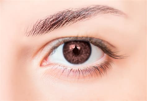 Science What Your Eye Color Reveals About Your Health And Personality