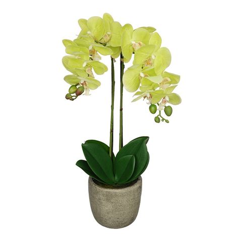 Artificial Double Stem Orchid In Grey Stone Look Vase House Of Silk Flowers® Artificial