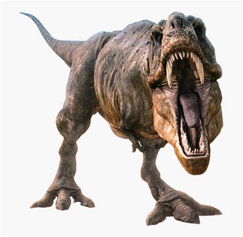 Tyrannosaurus Rex Png T Rex Transparent Background Free Transparent