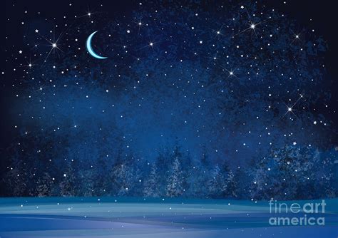 Winter Wonderland Night Wallpaper