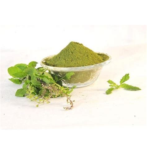 100 Pure Organic Fresh Tulsi Leaf Powder Holy Basil Ocimum Etsy
