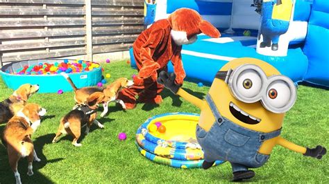 Throwing My Dogs A Minion Themed Birthday Ball Pit Pool Party Youtube