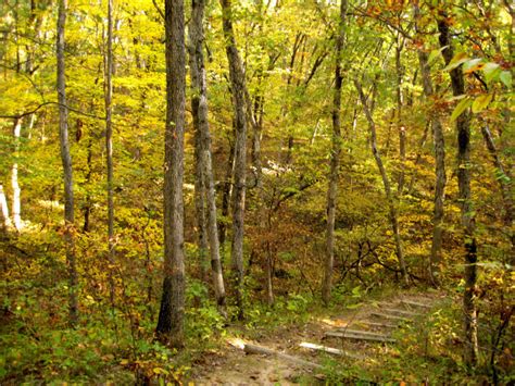The Fall Foliage In These 9 State Parks In Missouri Is
