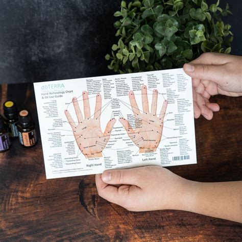 Hand And Foot Reflexology Cardstock Small 85x55 Oil Life