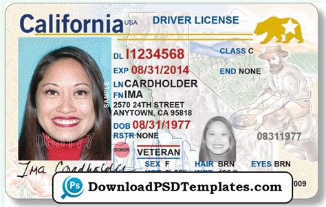Driver License Template Psd