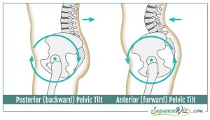 Four main functions of your core muscles