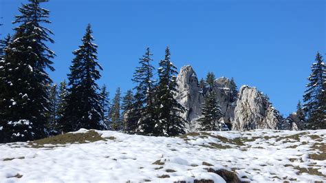 Free Images Landscape Tree Forest Rock Wilderness Snow Winter