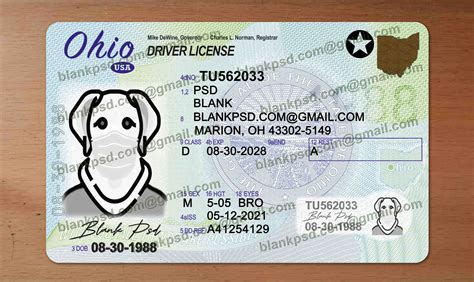 Ohio Drivers License Template New V2 Blank Psd