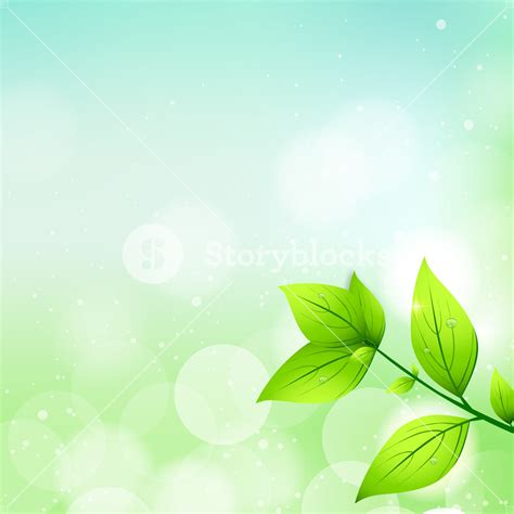 Abstract Nature Background With Fresh Green Leaves Royalty Free Stock