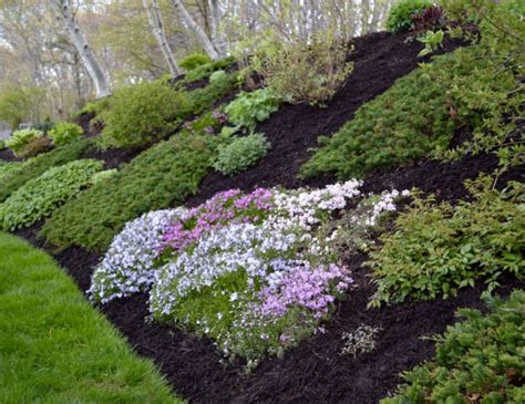 Most gardeners are familiar with the u.s. Spring Comes to Massachusetts - FineGardening