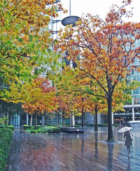 Autumn Rain Taken Outside City Hall In London Duncan Flickr