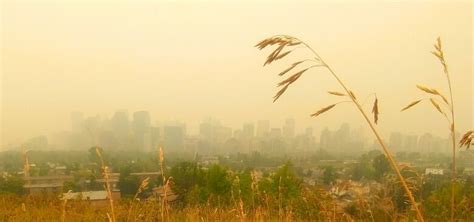We tend to take clean air for granted, but pollution or smoke does descend on calgary from time to time, so here are a few ways you can check on the city's air quality. Calgary air quality rated high risk as wildfire smoke ...