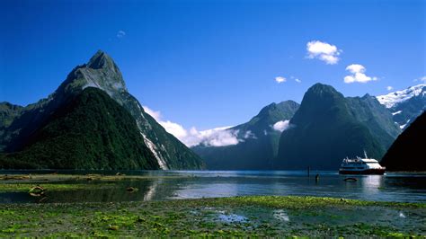 Milford Sound Scenic Cruise New Zealand