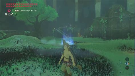 The Legend Of Zelda Breath Of The Wild Dlc Pack 1 Trial Of The Sword
