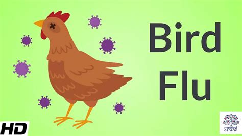 Bird Fluavian Influenza Causes Signs And Symptoms Diagnosis And Treatment Youtube