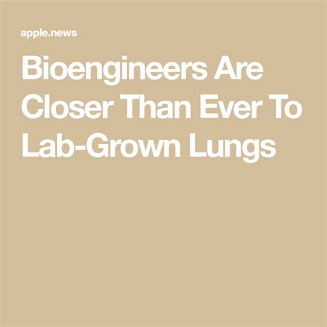 Bioengineers Are Closer Than Ever To Lab Grown Lungs Human Lungs