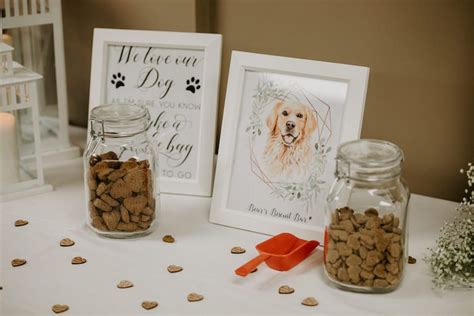 Adorable Ways To Include Your Dog In Your Wedding Dogs At Wedding
