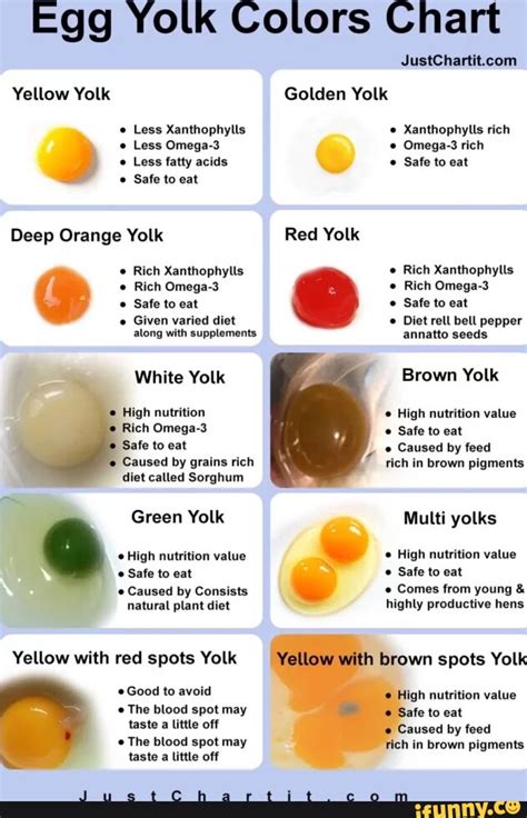 Egg Yolk Colors Chart Yellow Yolk Golden Yolk Less Xanthophylls