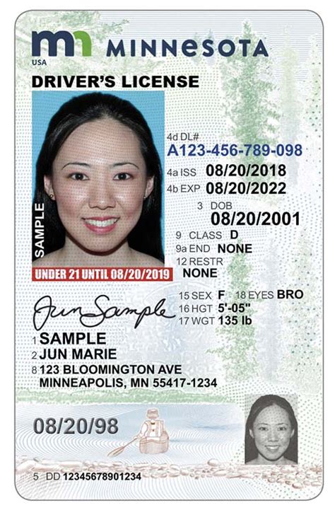 Driver License Types Mn Palsmserl