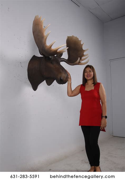 Cast iron wall mount moose antlers beer bottle opener bar hunting cabin. Moose Head Wall Mount Faux Trophy Statue Wall Mounted ...
