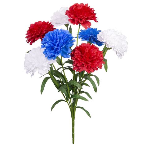 Red White And Blue Carnations