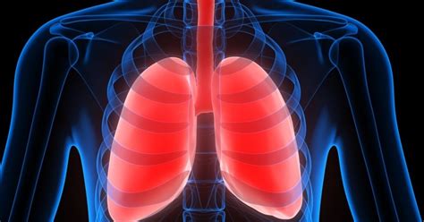 Check spelling or type a new query. Barrel Chest COPD: How Late Stage COPD Affects Anatomy