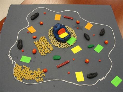 We did not find results for: Pin by Wendy Costa on Ashley - 5th Grade Cell Project ...