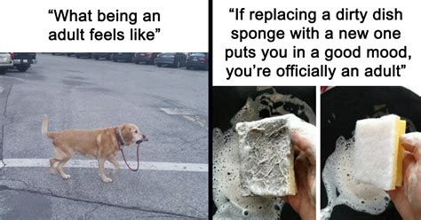 50 Hilarious Adulting Memes That Speak Only The Truth The Funniest Blog