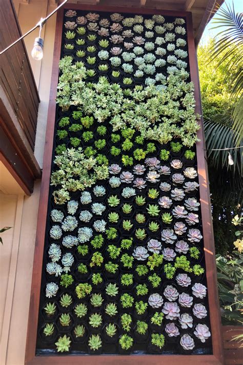 Pin On Vertical Garden Inspiration