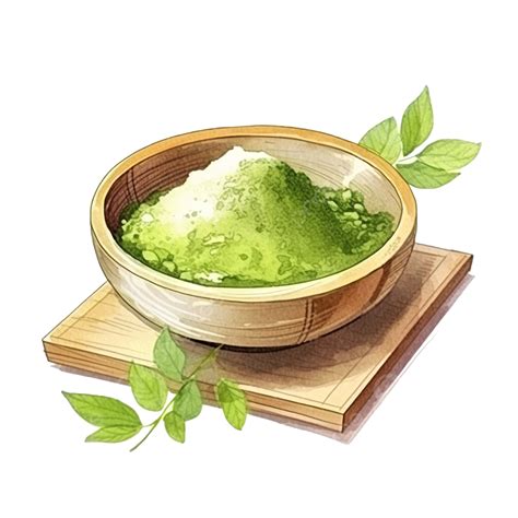Matcha Powder Watercolor In Wooden Bowl Illustration Powder Green Tea