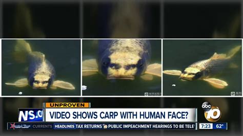 Video Shows Fish With Human Like Face Youtube