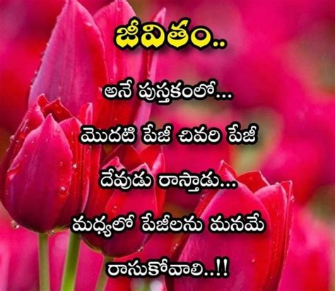 Pin By Ssri Sai Bhavana On Telugu Quotations In 2022 Stuffed Peppers