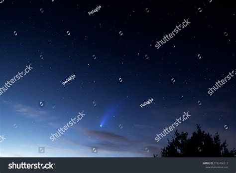 Comet Neowise Night Sky Astrophotography Meteor Stock Photo 1782496217