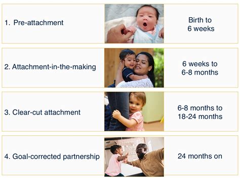 Phases Of Attachment Development Institute For Learning And Brain
