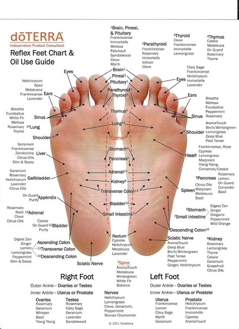 Images About Doterra Charts On Pinterest Foot Reflexology Chart My