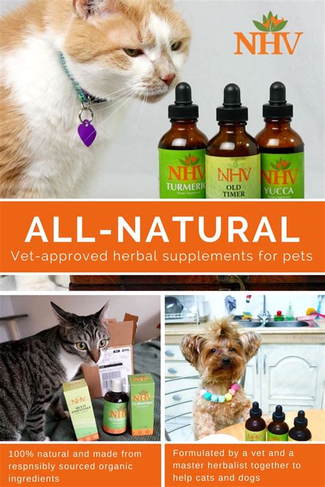 Inspiring Pet Tails Archives Nhv Natural Pet Products Blog Holistic