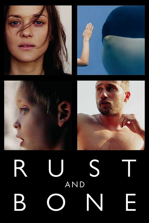 Rust And Bone Pictures Rotten Tomatoes