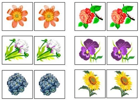Flower Match Up And Memory Game Montessori Print Shop 25th Birthday