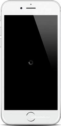 Old promo code for my11circle. 2 Ways to Fix iPhone Stuck in Spinning Circle