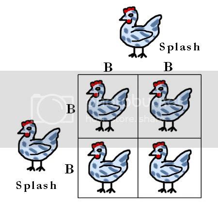 It may seem tedious punnet squares are a way to visually represent inheritance of alleles. Punnett Squares - BackYard Chickens Community