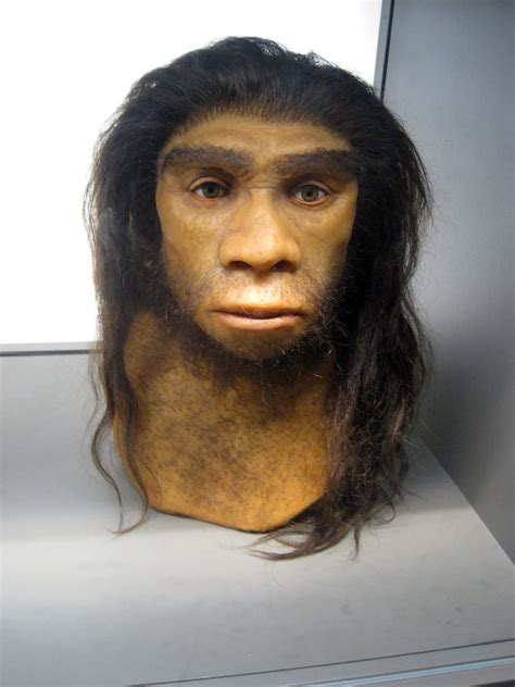 Reconstruction Of A Homo Heidelbergensis Man Cammiupton Flickr