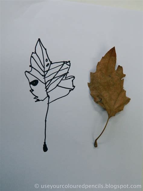 Use Your Coloured Pencils Leaf Drawings